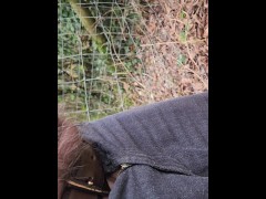 Pissing in most sacred site restrictions everywhere these days sadly