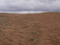 Great Outdoors feat. Leo Vice 1/16