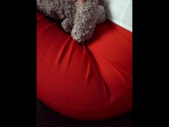 Teddy bear will suffer teaser