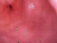 Giantess pussy endoscopy and micro man