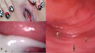 Giantess pussy endoscopy and micro man