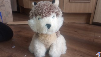 Серо-бурый волк