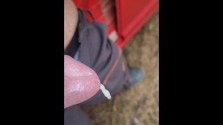 Cum in a forest