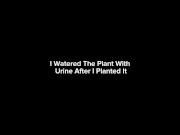 Preview 1 of I watered the plant with urine after I planted it