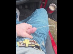 REQUEST - Pissing in the neighbours car in public