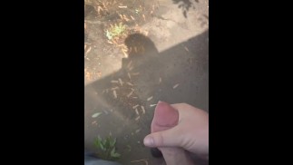 Moi qui me branle derrière la benne à ordures au travail !!!