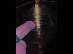 I Exposed Myself Again!! Public Nudity Fully Naked at the park bridge