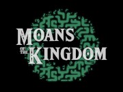 Preview 1 of Zelda : Moans of the kingdom RELEASE trailer