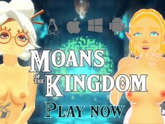 Zelda : Moans of the kingdom RELEASE trailer