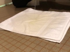 Pee on a towel