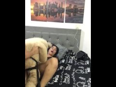 cute sluts fuck their teddy bear in their bedroom