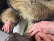Preview 1 of Fur Fetish Couple Francis & Alessia cum on fur extreme, fur handjob, doggystyle big raccoon furhood