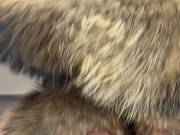 Preview 6 of Fur Fetish Couple Francis & Alessia cum on fur extreme, fur handjob, doggystyle big raccoon furhood