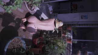 Nude on my balcony enjoying the sun and water