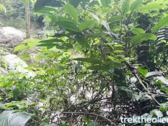 We had sex in a famous Brazilian jungle, we got dirty in the bush and enjoyed a lot