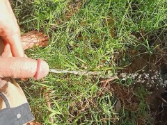 Just a golden shower on some grass.