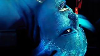 Blaubeer-Arsch-Sperma-Müllcontainer Liara Wird Von Sammlern Zerstört