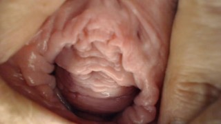 Extremo Primer Plano Estiramiento Coño Labios Clítoris Vulva