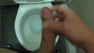 Old footage from public toilet quick wank