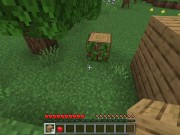 Preview 2 of Minecraft ASMR
