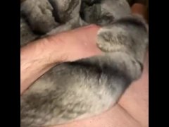 Fur play