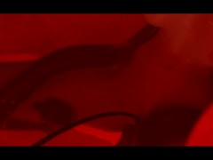 KV: Workplace Training Video - Screenshot 14 of 16 - Breeding