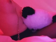 Preview 4 of Trailer Teddy bear licking my pink pussy humping pillow while I'm babysitting public
