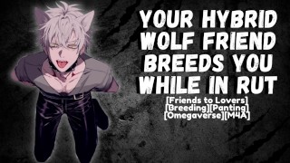 Tu amigo híbrido Wolf te cría mientras está en rut