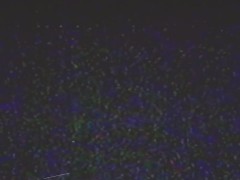 J'ai découvert une cassette VHS de famille !!! mes parents étaient trop sexy