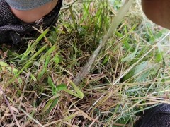outdoor pee - Screenshot 5 of 16 - Wet Pussy