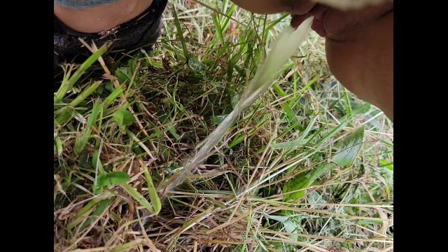 outdoor pee