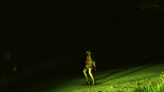 Доминантные самцы имеют важную обязанность заботиться о тупых безмозглых шлюхах