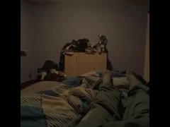 Alone #2 - Screenshot 1 of 16 - Teenage