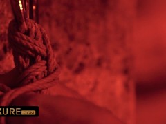 Bondage orgy with Claire Castel - Screenshot 4 of 16 - Brunette
