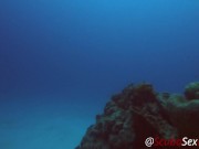 Preview 1 of SCUBA Sex Quickie while on a deep dive exploring a coral reef