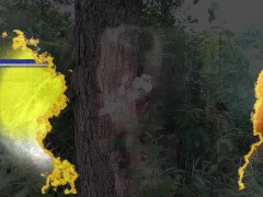 Hot Grandma Is A Expert Cock Sucker Compilation 1/16