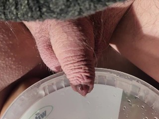 Пописав на диван, расслабьтесь