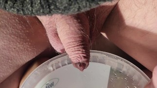 Пописав на диван, расслабьтесь