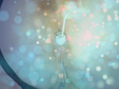 癒しのアナル動画 / アナルにタンポン挿入