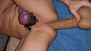Fuck Asshole with Horsecock and Ballstretcher