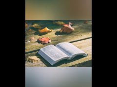 Numbers 31-32 KJV (Full Bible Read Through Video #37)