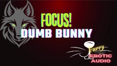 [Gay Furry Audio] Focus, Dumb Bunny!