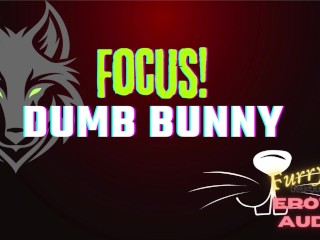 [gay Furry Audio] Focus, Domme Bunny!