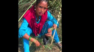 Indischer Randi-Sex Im Dschungelwald, Neues Video 2024