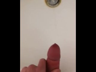 水槽中的康明