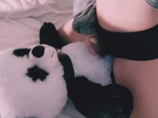 Riding Pandy Teddy Bar very Fast with Satisfyer Group Masturbation Humping Pillow in Panties