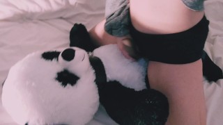 Riding Pandy teddy bar very fast with satisfyer group masturbation humping pillow in panties