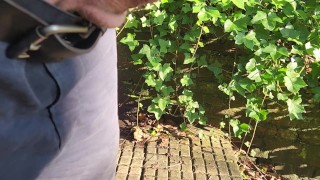 Pissing on the stairs outside in a glorious weather