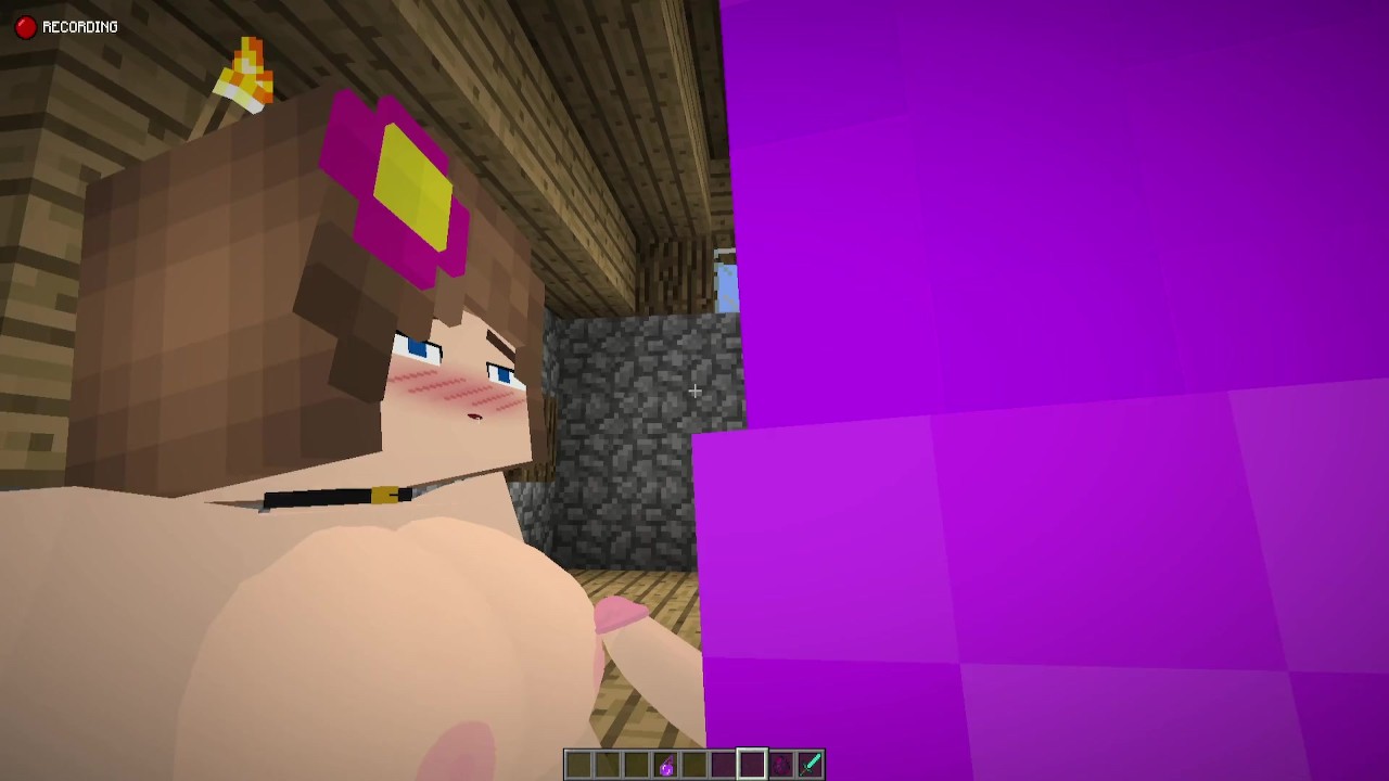 Minecraft jenny boobs