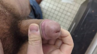 Превью Onlyfans: Повешенный медведь в туалете на шоссе.